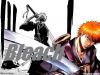 Filename=bleach-wallpaper-0558.jpg
Filesize=282KB
Dimensions=1024x768
Date added=Jun 16, 2007 bleach-wallpaper-0558.jpg