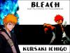 Filename=bleach-wallpaper-0590.jpg
Filesize=302KB
Dimensions=1024x768
Date added=Jun 16, 2007 bleach-wallpaper-0590.jpg