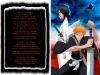 bleach-wallpaper-0631.jpg