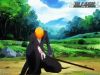 bleach-wallpaper-0734.jpg