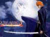 bleach-wallpaper-0765.jpg