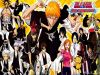 bleach-wallpaper-0770.jpg