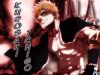 bleach-wallpaper-0787.jpg