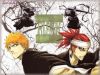 bleach-wallpaper-0863.jpg
