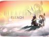bleach-wallpaper-0888.jpg