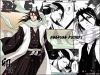 bleach-wallpaper-0892.jpg