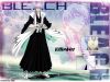 bleach-wallpaper-0894.jpg