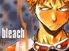 Filename=bleach-wallpaper-0938.jpg
Filesize=435KB
Dimensions=1024x768
Date added=Jun 16, 2007 bleach-wallpaper-0938.jpg