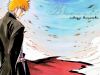 bleach-wallpaper-0956.jpg