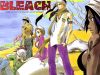 bleach-wallpaper-0963.jpg