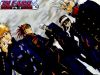 bleach-wallpaper-0972.jpg