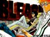 bleach-wallpaper-0973.jpg