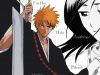 bleach-wallpaper-1030.jpg
