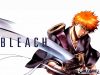 Filename=bleach-wallpaper-1042.jpg
Filesize=262KB
Dimensions=1024x768
Date added=Jun 16, 2007 bleach-wallpaper-1042.jpg