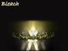 bleach-wallpaper-1049.jpg