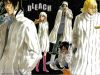 bleach-wallpaper-1073.jpg
