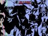 bleach-wallpaper-1082.jpg