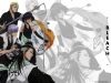 bleach-wallpaper-1089.jpg