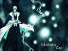 bleach-wallpaper-1204.jpg