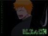 Filename=bleach-wallpaper-1230.jpg
Filesize=174KB
Dimensions=1024x768
Date added=Jun 16, 2007 bleach-wallpaper-1230.jpg
