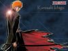 Filename=bleach-wallpaper-1252.jpg
Filesize=347KB
Dimensions=1024x768
Date added=Jun 16, 2007 bleach-wallpaper-1252.jpg