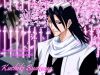 bleach-wallpaper-1253.jpg