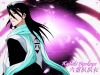 bleach-wallpaper-1256.jpg