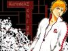 Filename=bleach-wallpaper-1277.jpg
Filesize=422KB
Dimensions=1024x768
Date added=Jun 16, 2007 bleach-wallpaper-1277.jpg