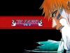 bleach-wallpaper-1304.jpg