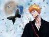 Filename=bleach-wallpaper-1442.jpg
Filesize=303KB
Dimensions=1024x768
Date added=Jun 16, 2007 bleach-wallpaper-1442.jpg