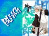 bleach-wallpaper-1626.jpg