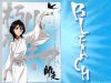 bleach-wallpaper-1628.jpg