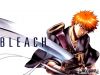 bleach-wallpaper-1639.jpg