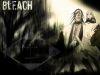 bleach-wallpaper-1665.jpg