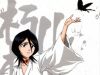 bleach-wallpaper-1778.jpg