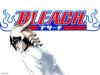 bleach-wallpaper-1795.jpg
