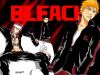Filename=bleach-wallpaper-1874.jpg
Filesize=400KB
Dimensions=1024x768
Date added=Jun 16, 2007 bleach-wallpaper-1874.jpg