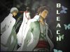 bleach-wallpaper-2012.jpg