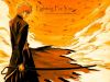 bleach-wallpaper-2043.jpg