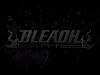 bleach-wallpaper-2052.jpg