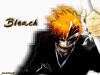 bleach-wallpaper-2125.jpg