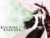 Filename=bleach-wallpaper-2176.jpg
Filesize=275KB
Dimensions=1024x768
Date added=Jun 16, 2007 bleach-wallpaper-2176.jpg