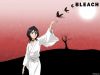 bleach-wallpaper-2203.jpg