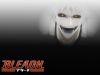 bleach-wallpaper-2210.jpg