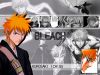 bleach-wallpaper-2219.jpg