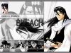 bleach-wallpaper-2220.jpg