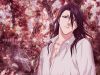 bleach-wallpaper-2273.jpg