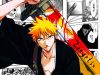 bleach-wallpaper-2450.jpg