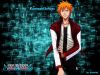 bleach-wallpaper-2474.jpg