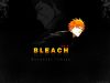 Filename=bleach-wallpaper-2544.jpg
Filesize=146KB
Dimensions=1024x768
Date added=Jun 16, 2007 bleach-wallpaper-2544.jpg